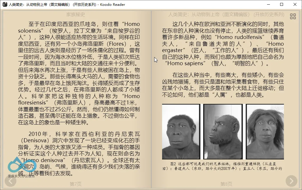 Koodo Reader 琥珀黄主题阅读界面：温暖色调与精细文字渲染