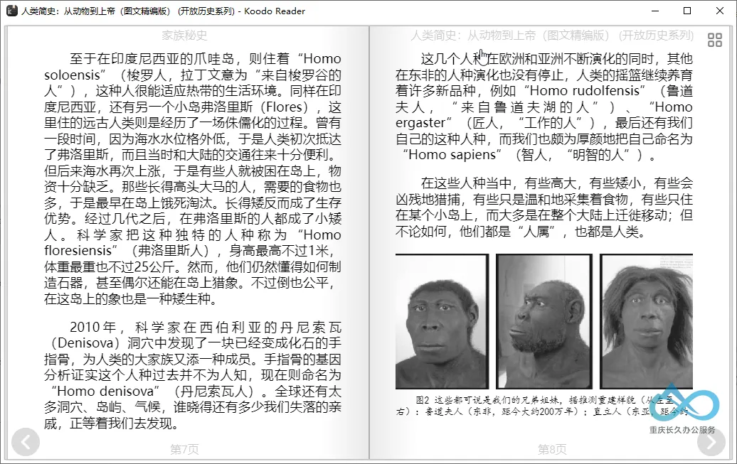 Koodo Reader 双页模式阅读界面：对称排版与自然翻页效果