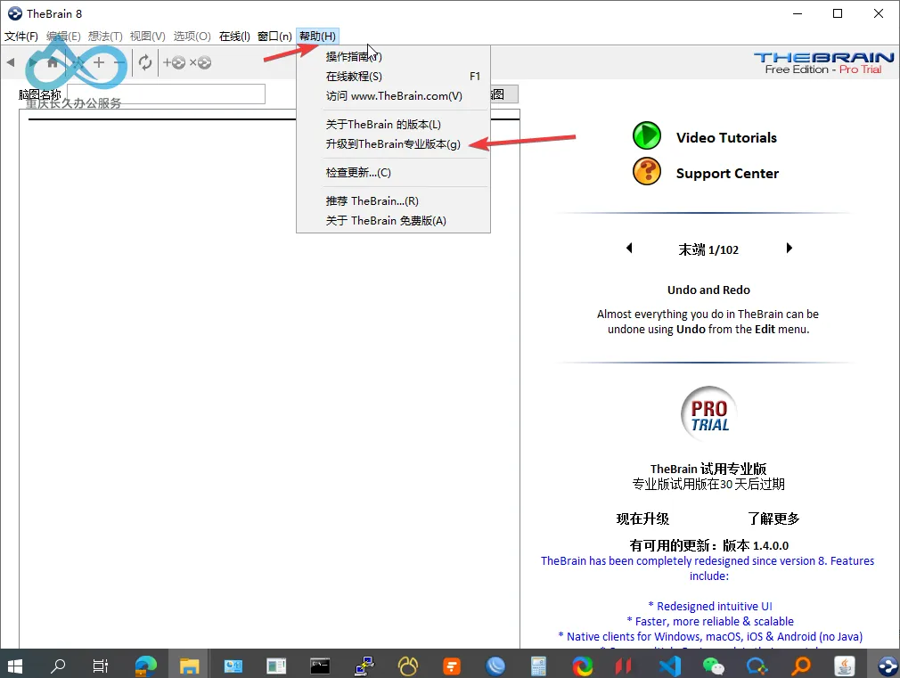 Menu bar → Help → Upgrade to TheBrain Professional
